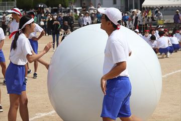 IMG_6988_R.JPG