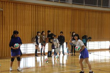 IMG_8238_R.JPG