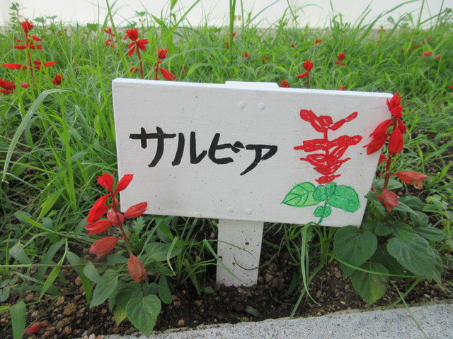 花.JPG