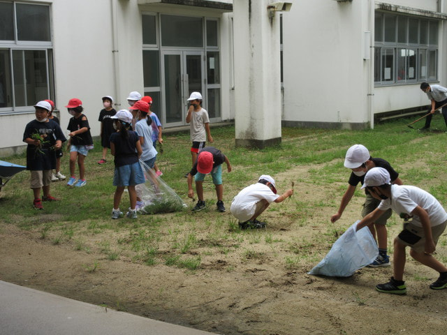 IMG_3083.JPG