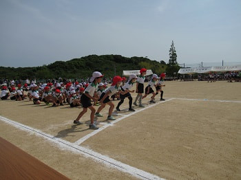 IMG_2533.JPG