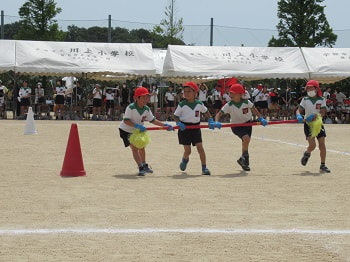 IMG_2563.JPG
