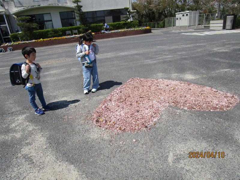 桜吹雪のあとは・・・