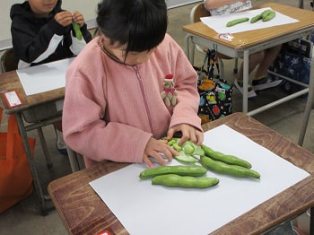 そら豆の皮むき体験