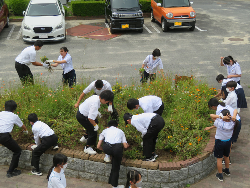5月23日(金) 花壇ボランティア