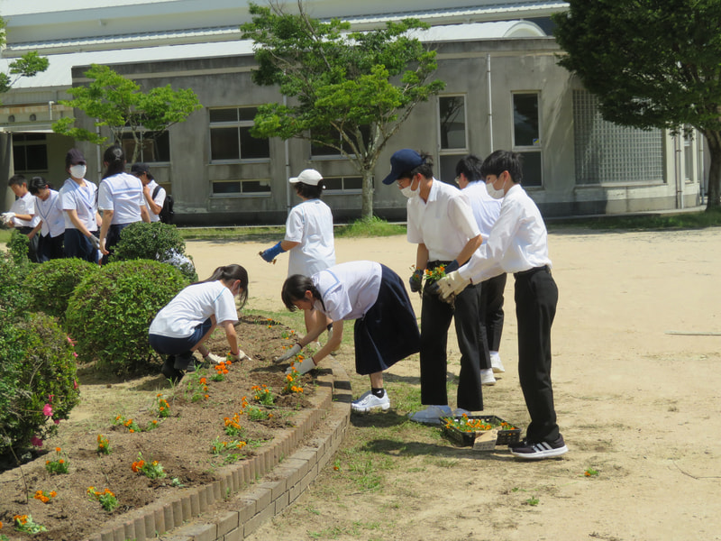 6月27日(金) 花壇の苗植え