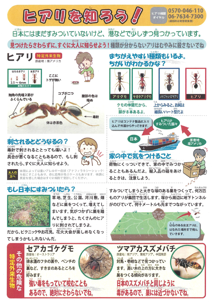 ヒアリを知ろう！.png