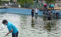 プール掃除２.JPG