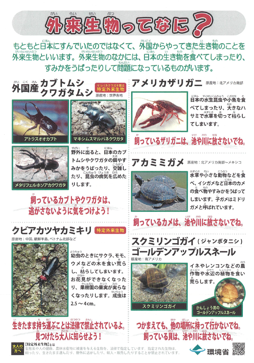 外来生物ってなに？.png