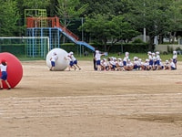 大玉転がし練習.jpg
