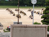 高学年ソーラン連取.jpg