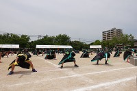 DSC06348.jpg