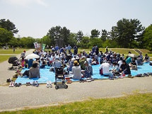 IMGP2070 small.jpg