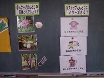 IMGP2108 small.jpg