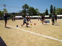 IMGP2204 small.jpg