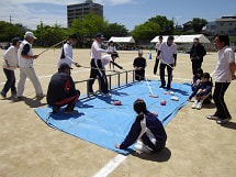 IMGP2211 small.jpg