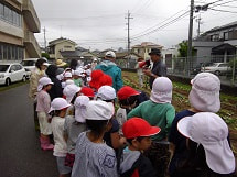 IMGP2453 small.jpg