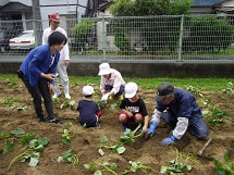 IMGP2461 small.jpg
