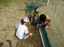 IMGP2513 small.jpg