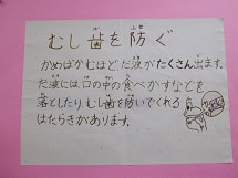 IMGP2570 small.jpg