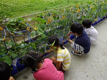 IMGP2656 small.jpg