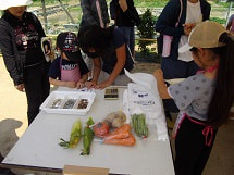 IMGP2715 small.jpg
