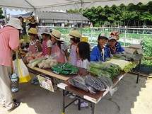 IMGP2724 small.jpg