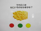 IMGP2927 small.jpg