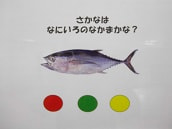 IMGP2930 small.jpg