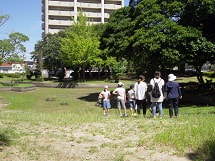 IMGP3050 small.jpg