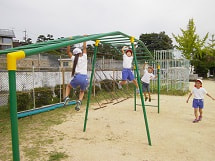 IMGP3242 small.jpg