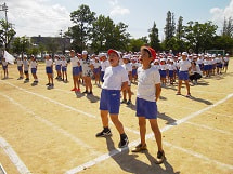IMGP3396 small.jpg