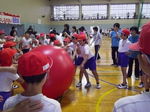 IMGP3541 small.jpg