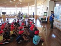 IMG_0223.jpg