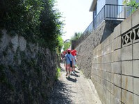 IMG_0737.jpg