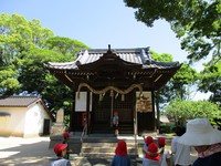 IMG_0745.jpg
