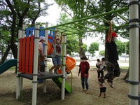 IMG_0997.jpg