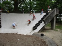 IMG_1013.jpg