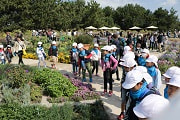 IMG_1118 small.jpg