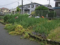 IMG_1440.jpg