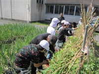 IMG_1468.jpg