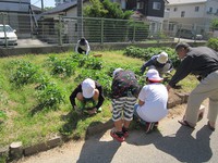 IMG_1483.jpg