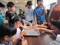 IMG_1553.JPG