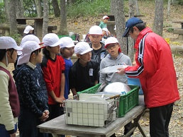 IMG_1569 small.jpg