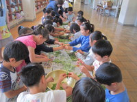 IMG_1617.JPG