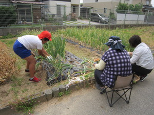 IMG_1654.JPG