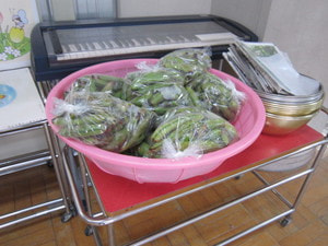IMG_1696.JPGのサムネール画像