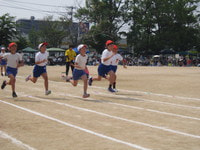 IMG_1874.JPG