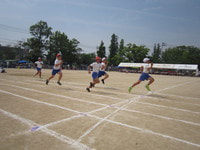 IMG_1900.JPG
