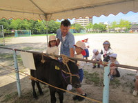 IMG_2909.JPG